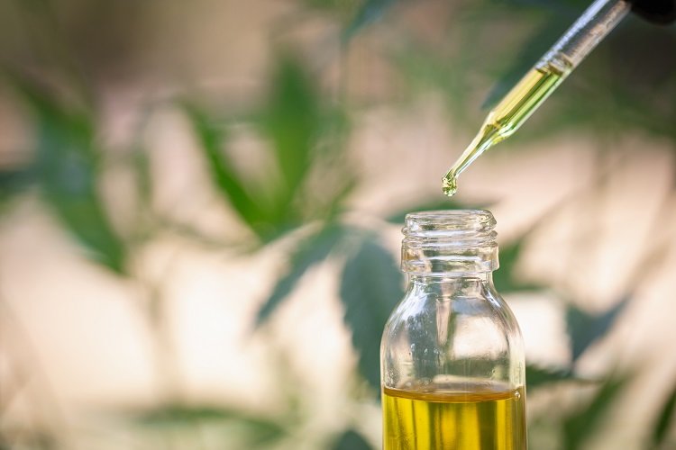 Cannabis Strain Psychology: How Indica and Sativa Affect Mood and Thought Patterns